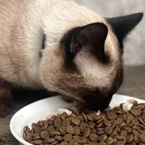 Pet Food