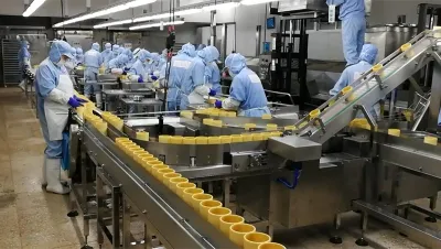YL-10SR Automatic Pouch Packing Machine